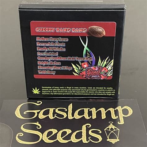 Gaslamp seeds - Gnome Automatics, Pure Breeding. Auto Flower. Feminized. 3 Seeds, 5 Seeds. $ 45.00 – $ 75.00 Select options. In stock. BLACK STRAP BREEDERS RELEASE. Brother Mendel's Selections, Gnome Automatics. Auto Flower.